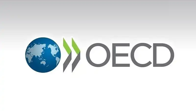 Türkiye'nin Ekonomi Gelirleri: OECD Büyüme Tahminlerini Revize Etti