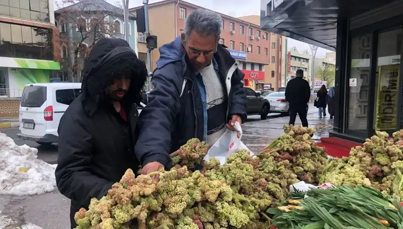 Kendiliğinden Yetişen Bu Bitki, Kanserin Yeni İlaçı Olarak Değerlendiriliyor!