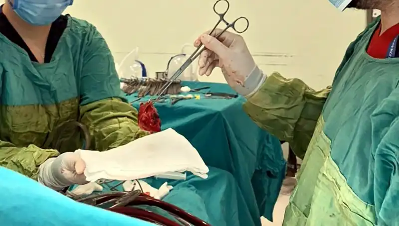 Kalp Kapağı Çürümüş: 7 Saatlik Ameliyat ile Hayata Dönüş!