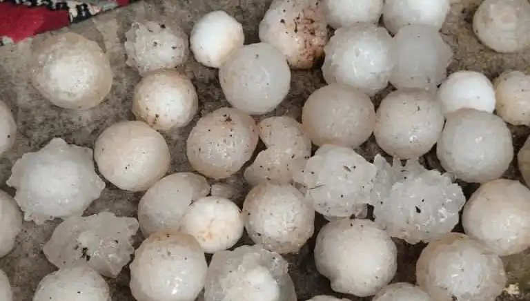 Şanlıurfa'da Nadir Görülen Olay: Kar Topu Büyüklüğünde Dolu Yağışı!