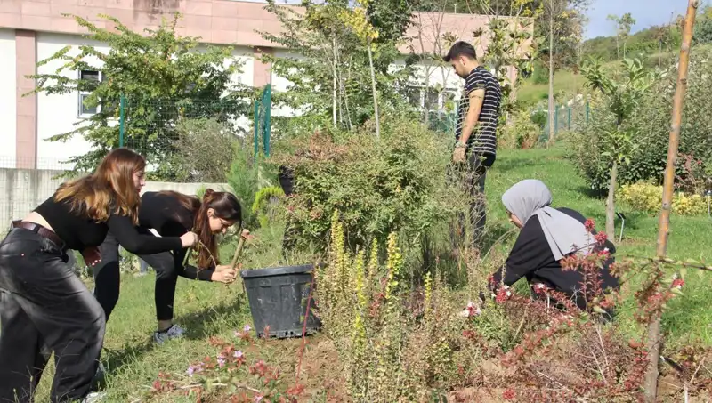 Düzceli Genç Girişimcinin Hayali Gerçek Oldu: Global Başarıya İmza Attı