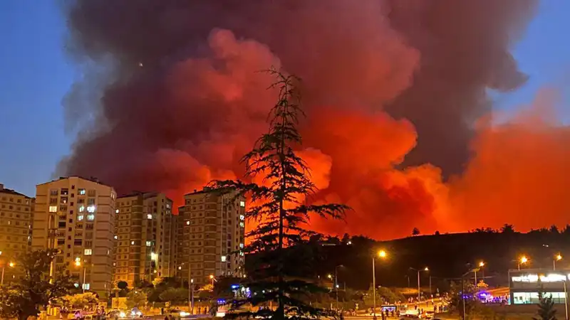 Bursa'da Yangın Alarmı: Yeşil Alanlar Alev Alev!