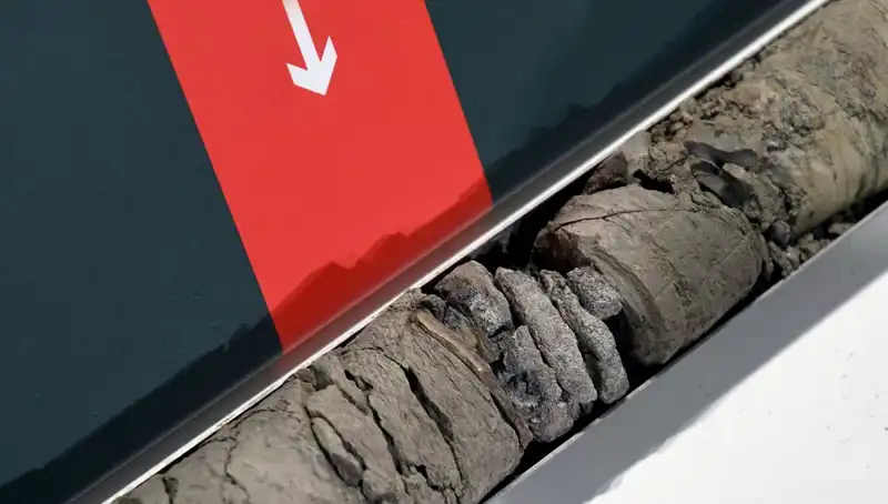 Dinozor Fosili, Müze Otoparkının Altında Bulundu: Tarihe Işık Tutan Keşif