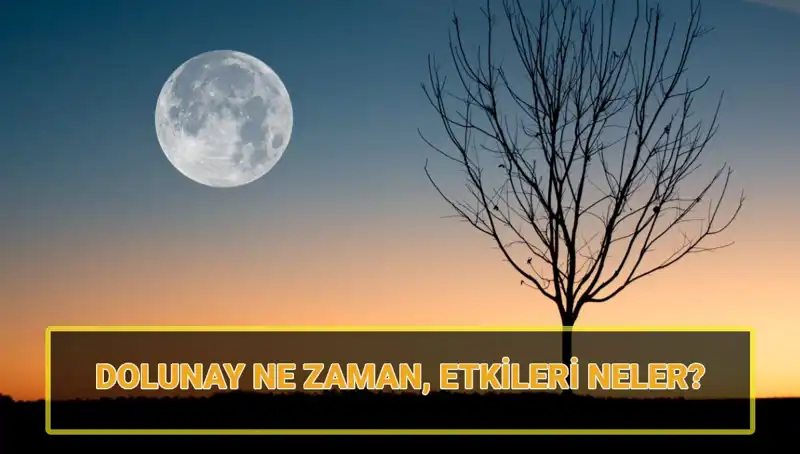 Dolunay’ın Gizemi: Terazi Dolunayı’nın Etkileri ve Zamanı