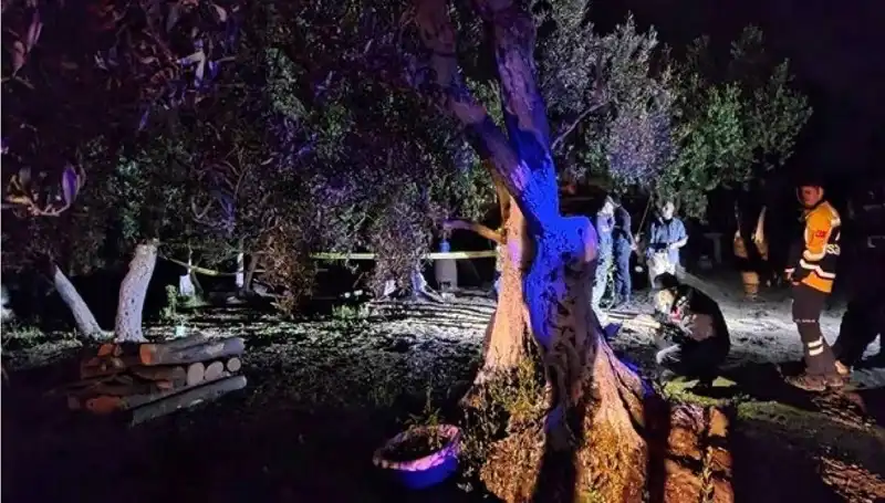 Çiftlikteki Baltalı Vahşet Olayı: Olaydan Bir Gün Sonra Tutuklama Gerçekleşti