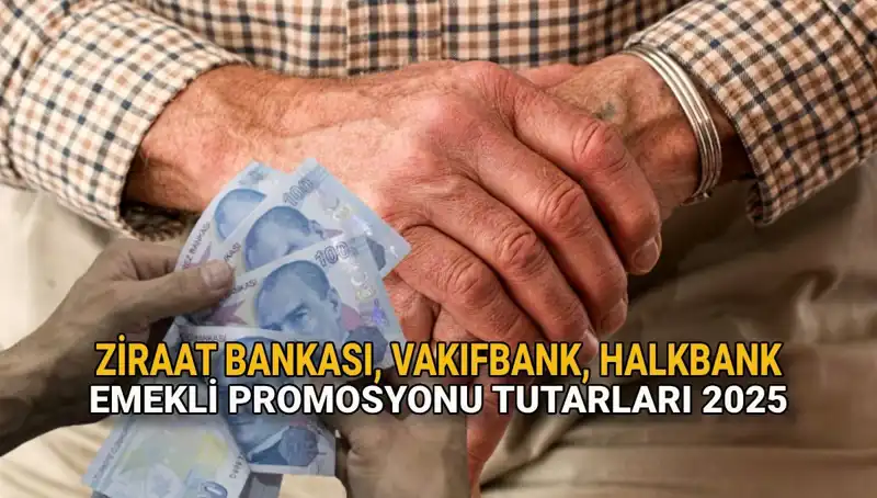 Emekliler İçin 2025’te Promosyon Rekabeti: Kamu Bankalarının Teklifleri