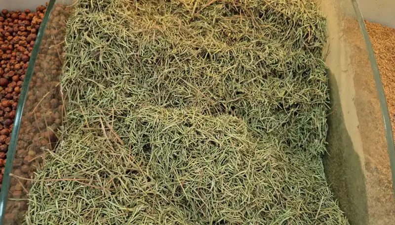 Yaz Aylarında İnternetteki Tehlikeli Ürünler: Ölüme Götüren Satış Artışı