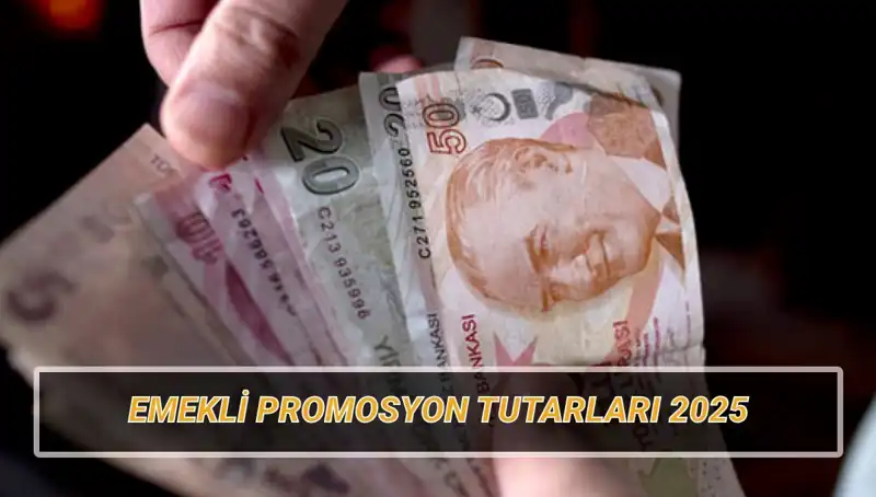 2025 Yılı Emekli Banka Promosyonları: En Yüksek Hangi Bankalardan?