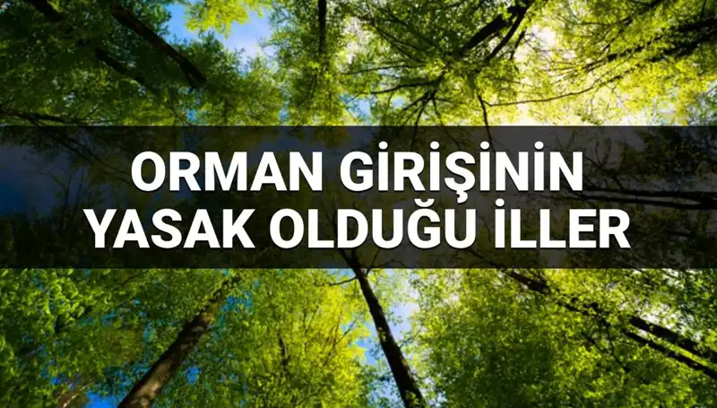 2025 Yılı İçin Ormana Girmesi Yasaklanan İllerin Şaşırtıcı Listesi