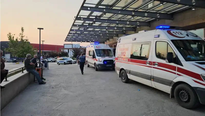 Ailelerin Kavgası Kanla Bitti: Muhtar Hayatını Kaybetti, Üç Kişi Yaralandı