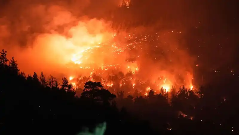 Bursa-Balıkesir Sınırında Şiddetli Orman Yangını, Ekipler Kontrol Altına Aldı