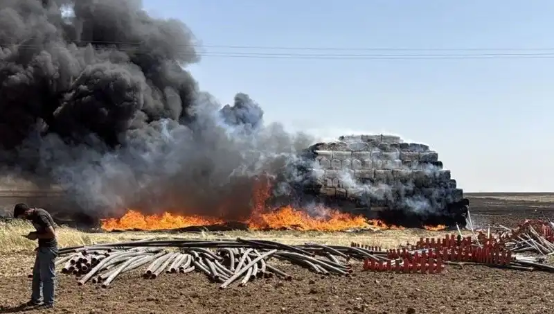 Mardin'de Anız Yangınları: Tarım Üzerindeki Olumsuz Etkileri ve Çözüm Önerileri