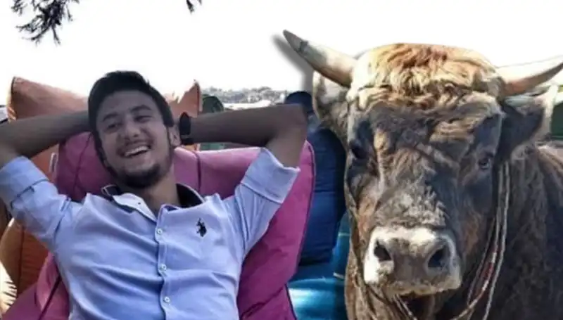 Aydın'da Güreş Boğası Nasıl Can Aldı? Korkunç Olay Detaylarıyla Açıklandı!