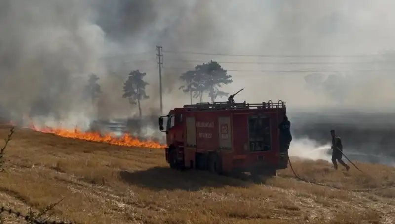 Kırklareli'nde Anız Yangını: Korkutan Yangın Ekosistemi Tehdit Ediyor