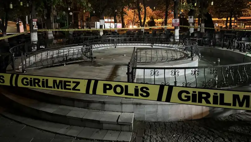 Kırklareli'nde Süs Havuzunda Yaşanan Skandal: Dört Kişi Hastanelik Oldu