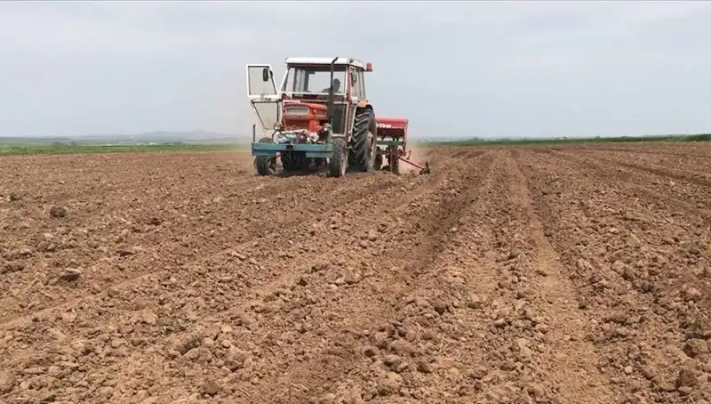 Son 35 Yılda Görülen En Kurak Mart Ayı: Türkiye'nin Sulak Alanları Tehdit Altında