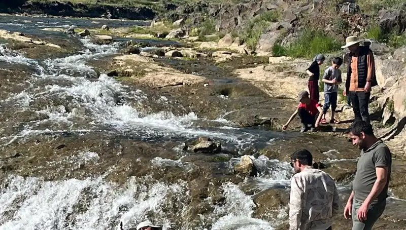 İnci Kefalinin Büyüleyici Göçü: Doğanın Harikası ve Turistlerin İlgisi