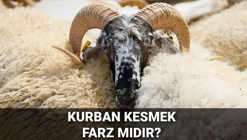 Kurban Kesmenin Hükmü ve Şartları: Dinimizdeki Yeri Nedir?