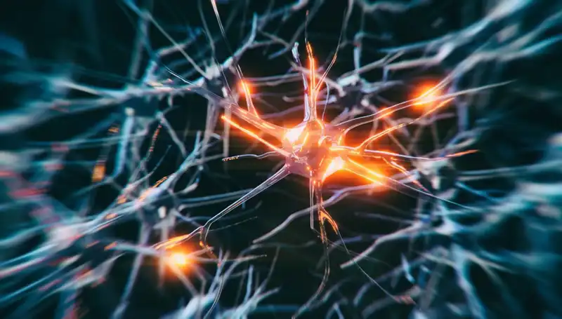 Alzheimer Vakalarında Şaşırtıcı Artış: Nedenleri ve Çözüm Yolları