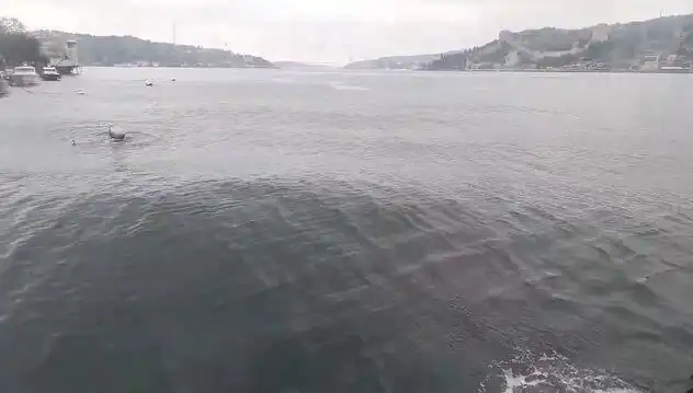 İstanbul Boğazı’nda Yükselen Dalgalar: Korku ve Merak İç İçe