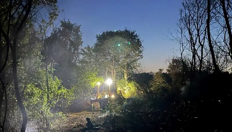 Edirne'deki Orman Yangını Sonunda Kontrol Altına Alındı