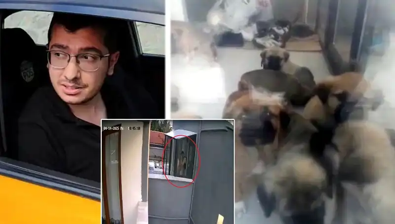 Veteriner Dr. X'in Şok Edici İtirafı: 12 Yavru Köpeği Daha Katletti!