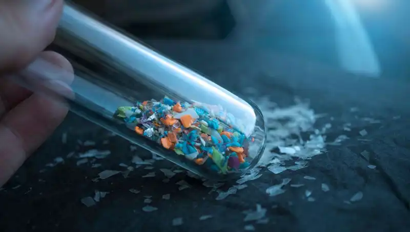 Mikroplastikler: İnsan Beyninde Yarattığı Etkiler ve Bilimsel Gerçekler