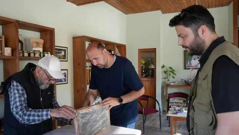Doktorlardan Uyarı: Bu Doğal Ürün Hem Şifa Hem Zehir Olabilir!