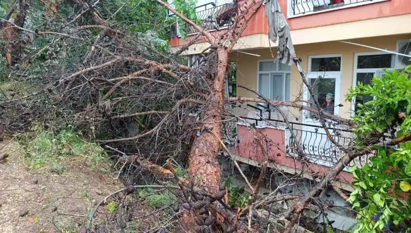 Yağmur Sonunda Binasını Yıktı: Korkunç Çöküş Anları Gözler Önünde!