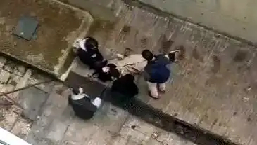 Kampüste Köpek Paniği: Öğrenci Betona Düşerek Yaralandı